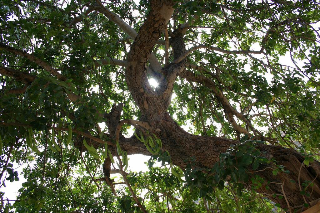 La Suma Sumalia Panzió Noto Kültér fotó